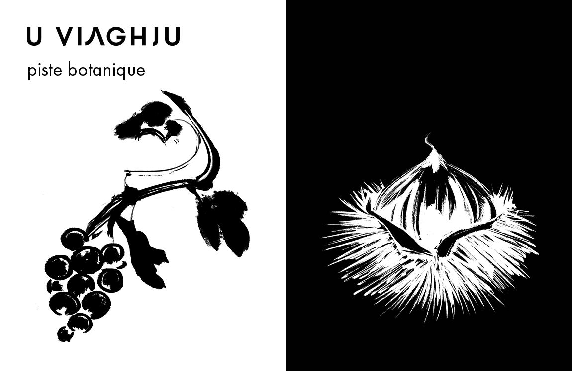 u-viaghju